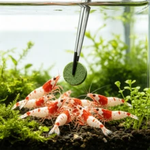 25cm 雙用不鏽鋼鑷子，適用於爬蟲類與魚缸，直頭或彎頭，黑色浸塑頭，防鏽耐腐蝕，多功能餵食、種植與清潔用 - 24.5cm/9.65IN彎鑷 - 查看 3