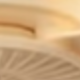 Multifunctional Fan Light