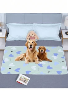 1pc Waterproof Pet Training Pad, Lightweight Anti-Slip, Suitable For Cats & Dogs, Quick-Drying Surface, Reusable & Washable, Fits Various Pet Sizes, All-Season Use - one-size - View 1