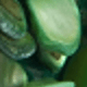 FG376-green