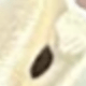 黃