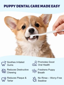 GJYC PET مجموعة الأسنان الأولى للجراء – معجون أسنان بدون رائحة، فرشاة ناعمة وفرشاة إصبع، للتسنين واللثة الحساسة والسلالات الصغيرة، ينعش النفس – يعمل للقطط أيضًا - متعدد الألوان - مشاهدة 4
