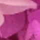 Pink Purple Gradient