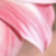 彩色