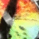 Multicolor