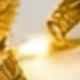 Golden Leaf