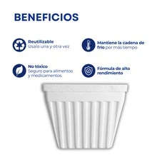 Hielera Unicel HUG 156.6 mm x 110.5 mm x 126 mm Capacidad 1.700 Litros o 1 kilo Bolsa - Ver 3