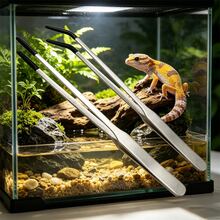 水族造景必備 25cm/9.84IN 直頭水族修剪工具 24cm/9.65IN 彎頭不鏽鋼水草鑷子 水草種植工具 水族清潔套組 爬蟲蜥蜴餵食夾附PVC保護套 - C-銀色 - 查看 2