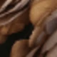 Coffee Brown - Encrypted Version