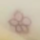 彩色