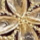 Dorado