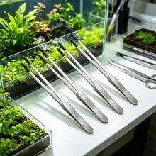 水族造景必備 25cm/9.84IN 直頭水族修剪工具 24cm/9.65IN 彎頭不鏽鋼水草鑷子 水草種植工具 水族清潔套組 爬蟲蜥蜴餵食夾附PVC保護套 - C-銀色 - 查看 16
