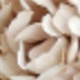 Light Brown - Encrypted Version
