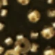 Black Gold