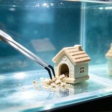 水族造景必備 25cm/9.84IN 直頭水族修剪工具 24cm/9.65IN 彎頭不鏽鋼水草鑷子 水草種植工具 水族清潔套組 爬蟲蜥蜴餵食夾附PVC保護套 - C-銀色 - 查看 8