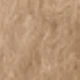 Flesh Color