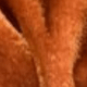 Burnt Orange