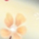 Transparent 4