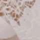 White Wide Lace Trim