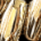 金色