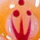 橘色