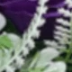 Light Purple + Dark Purple