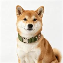 Dog Collar And Pet Neck Strap, Suitable For Small, Medium And Large Dogs, Ideal For Outdoor Use To Prevent Your Beloved Pet From Getting Lost - Army Green - View 3