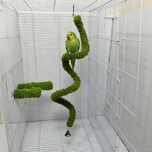 1Pc Parrot Toy, Green Climbing Rope, Rotating Climbing Rope, Bell Toy, Birdcage Ornament, Forest Themed Birdcage Decoration. - A - View 9