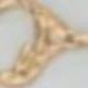 Dorado