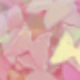 Coral Pink