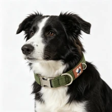 Dog Collar And Pet Neck Strap, Suitable For Small, Medium And Large Dogs, Ideal For Outdoor Use To Prevent Your Beloved Pet From Getting Lost - Army Green - View 5