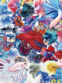 50pcs Guppy Stickers, Transparent PET Waterproof Adhesive Fish Decals For Scrapbook Phone Laptop Water Bottles. - Multicolor - View 11