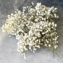 100/50pcs Mini Breathable Artificial Flowers, Realistic Baby's Breath And Other White And Pearl White Artificial Flowers - For Wedding Welcome Area, Dried Flowers, Boutonniere, Wedding Decoration, Invitation Envelope Decoration, DIY Crafts, Gifts - Multicolor - View 5