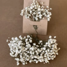 100/50pcs Mini Breathable Artificial Flowers, Realistic Baby's Breath And Other White And Pearl White Artificial Flowers - For Wedding Welcome Area, Dried Flowers, Boutonniere, Wedding Decoration, Invitation Envelope Decoration, DIY Crafts, Gifts - Multicolor - View 4