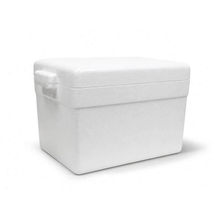 HU7- Hielera Unicel Sin Asa 28.5 cm x 21.5 cm x 21 cm Capacidad 10 Litros o 7 kilos - Ver 1