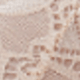 Albaricoque