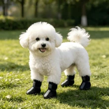 Zapatos para perro pequeño de malla suave color rojo talla L, adecuados para caminar y correr al aire libre en pavimento caliente de verano, botas antideslizantes y protección para las patas - Multicolor - Ver 8