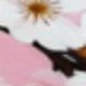 彩色