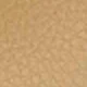 Light Khaki