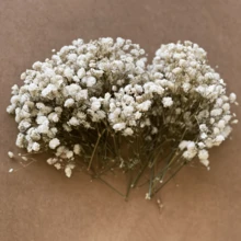 100/50pcs Mini Breathable Artificial Flowers, Realistic Baby's Breath And Other White And Pearl White Artificial Flowers - For Wedding Welcome Area, Dried Flowers, Boutonniere, Wedding Decoration, Invitation Envelope Decoration, DIY Crafts, Gifts - Multicolor - View 6