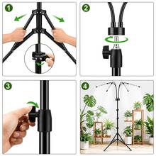 1 Set Full Spectrum Plant Grow Light, Natural Sunlight-Mimicking LED Lamp With Adjustable Light Modes, Ideal For Indoor Plants & Succulent Pots, 3/9/12-Hour Timer, Adjustable Stand, 360° Bendable Gooseneck, USB-Powered Plug-And-Play Design. - 黑色 - 查看 5