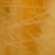 Orange Rabbit Tail Grass 1
