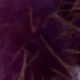 Light Purple Rabbit Tail Grass
