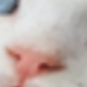 杏色