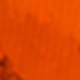 الأسود