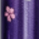 彩色