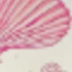 متعدد الألوان