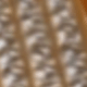 金色6