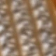 Oro 6