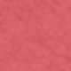 14. Peach Blossom Rose